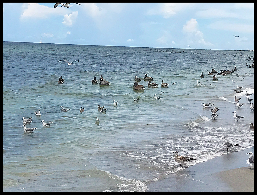 6a163510-6359-44a5-8066-2d3bac22dfe8