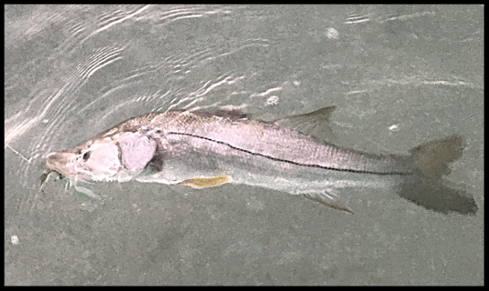 6fe7eaf1-2cd5-4032-99b1-6e5c01602dd9