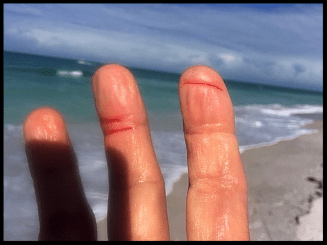 7c779da2-001c-4dfa-a7bf-522c0a8107bc