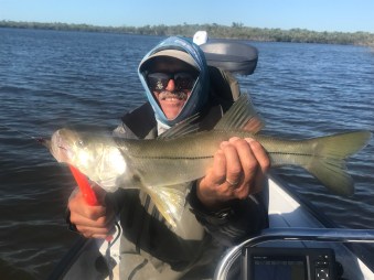 Q+qJmhDVQgmQExlNJonS+A