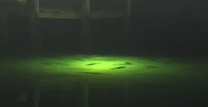 BxFI1ipUQJOcVlKP33FMzQ