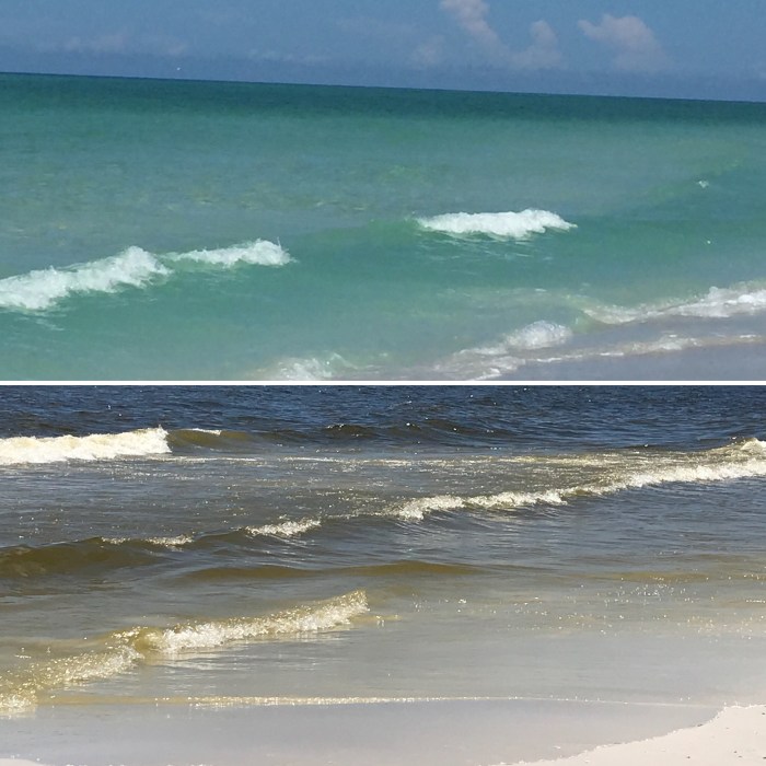 29DA7F01-5588-4DA7-82F6-A12B3B248CD4