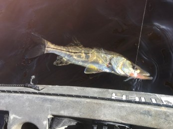 bcJCNNAzQ3WM6XImoKyHPQ