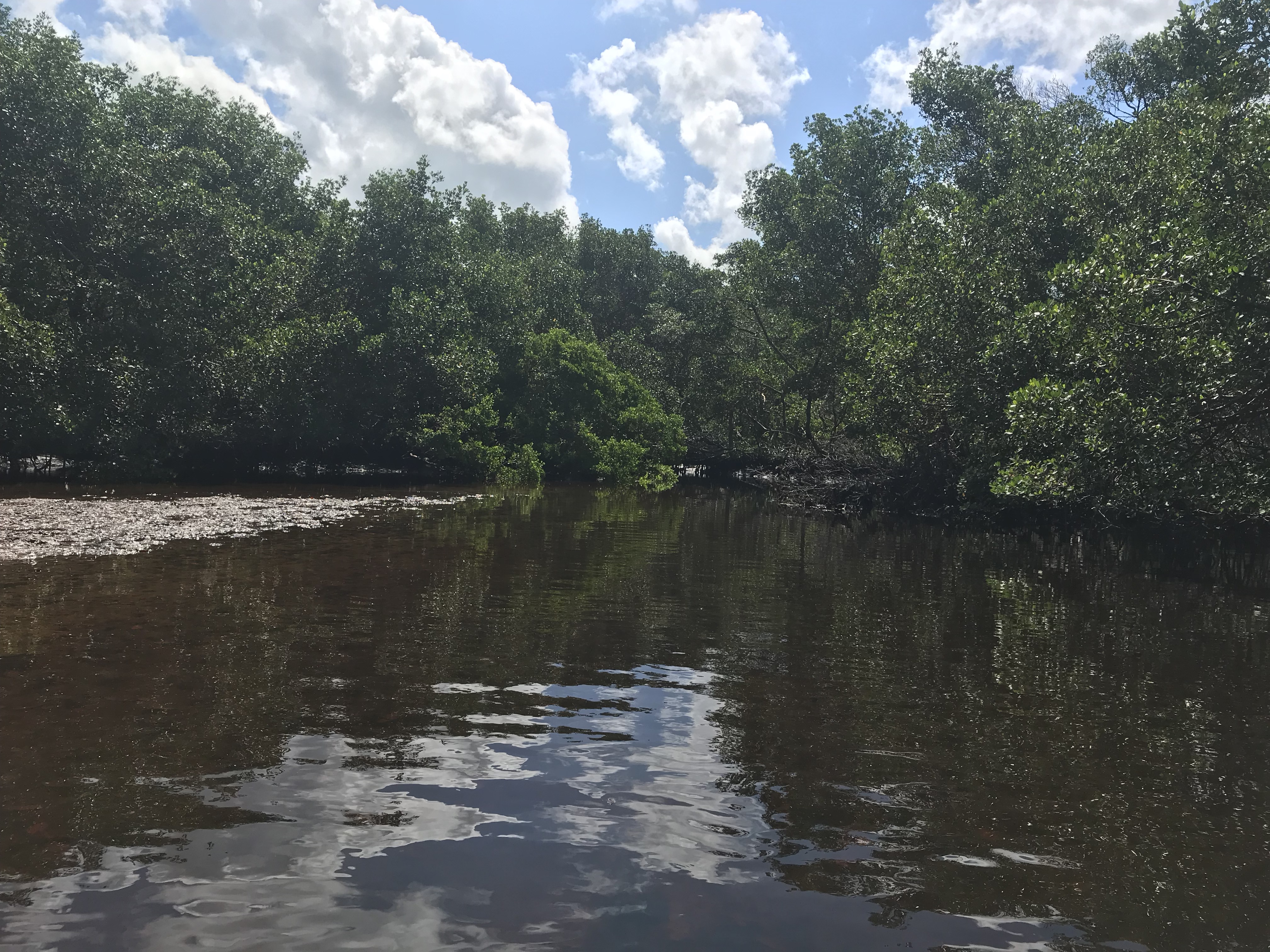 sFYErPcZSnmyF8sEA5Vgdw